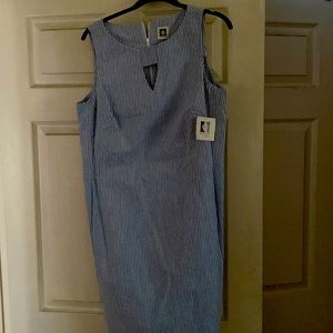 Blue pinstripes dress